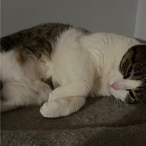 Meet your Posher, Karianna